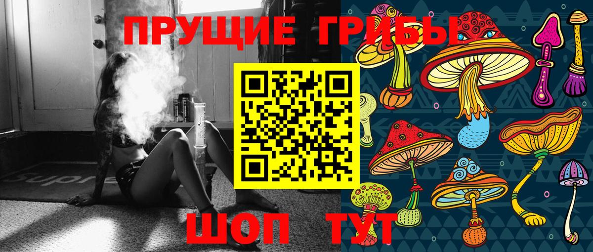 Псилоцибиновые грибы мицелий Канаш