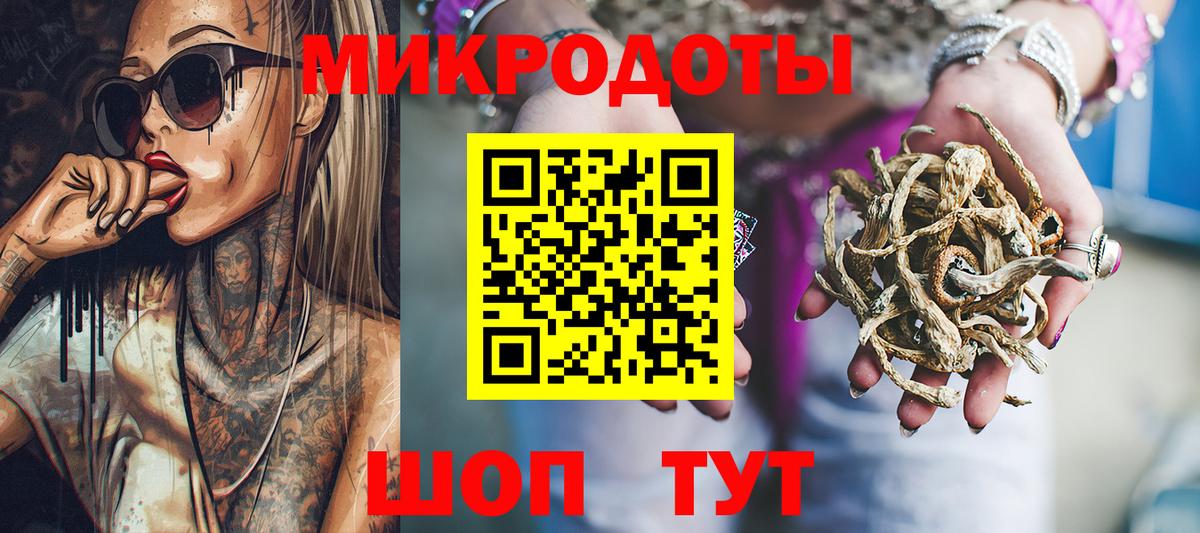 продажа наркотиков  Псилоцибиновые грибы ЛСД  Канаш  Вход с VPN  Галлюциногенные грибы ЛСД 